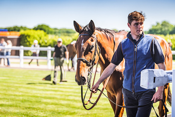 Goffs UK Spring Sale 22 Day 4-102