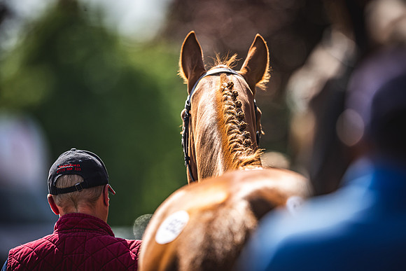 Goffs UK Spring Sale 22 Day 4-133