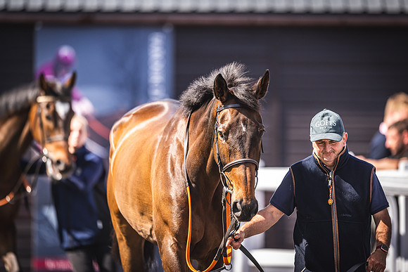 Goffs UK Spring Sale 22 Day 4-117