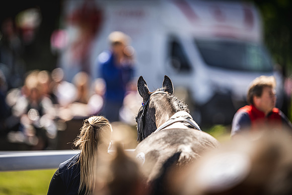 Goffs UK Spring Sale 22 Day 4-140
