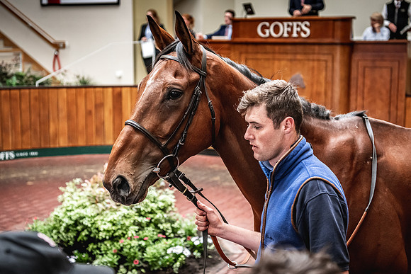 Goffs UK Spring Sale 22 Day 4-109