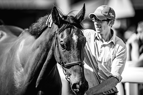 Goffs UK Spring Sale 22 Day 4-125