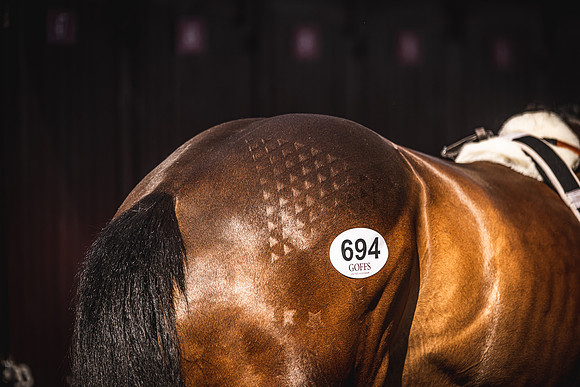 Goffs UK Spring Sale 22 Day 4-174
