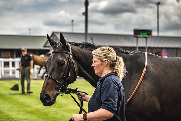 Goffs UK Spring Sale 22 Day 4-26