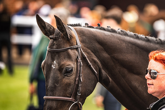 Goffs UK Spring Sale 22 Day 4-69