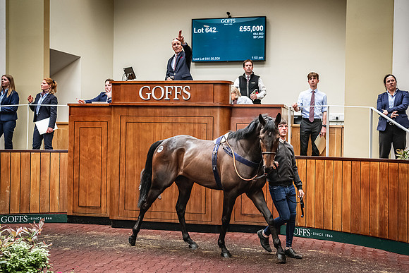 Goffs UK Spring Sale 22 Day 4-91