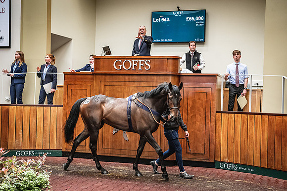 Goffs UK Spring Sale 22 Day 4-90