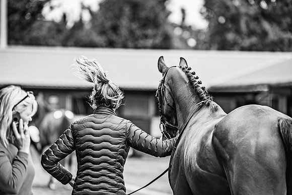 Goffs UK Spring Sale 22 Day 4-34