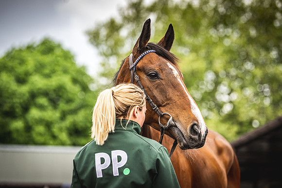 Goffs UK Spring Sale 22 Day 4-46