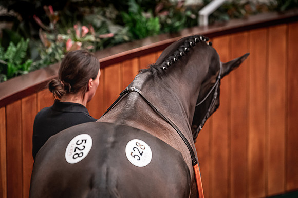 Goffs UK Spring Sale 22 Day 4-22