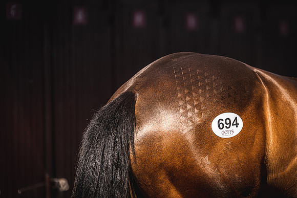 Goffs UK Spring Sale 22 Day 4-175