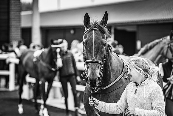 Goffs UK Spring Sale 22 Day 4-71