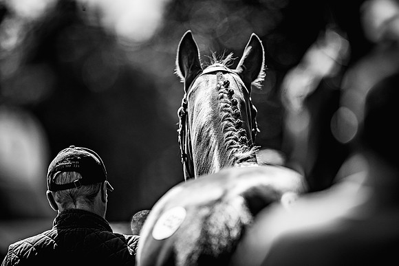 Goffs UK Spring Sale 22 Day 4-132