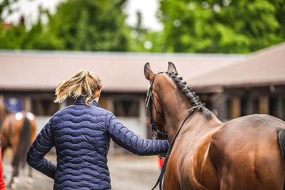 Goffs UK Spring Sale 22 Day 4-33