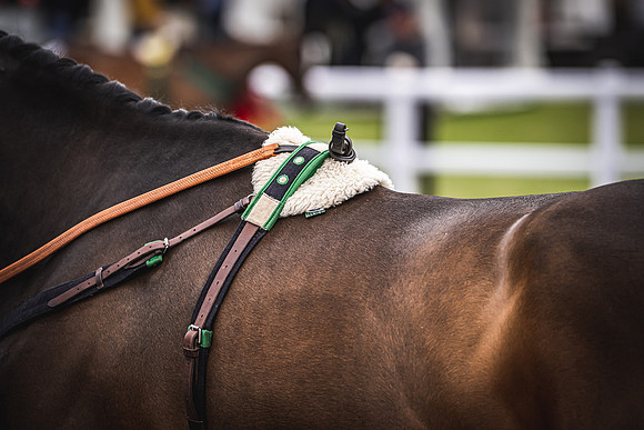 Goffs UK Spring Sale 22 Day 4-66