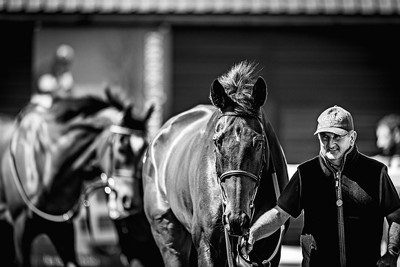Goffs UK Spring Sale 22 Day 4-118