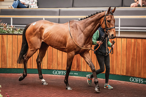 Goffs UK Spring Sale 22 Day 4-19