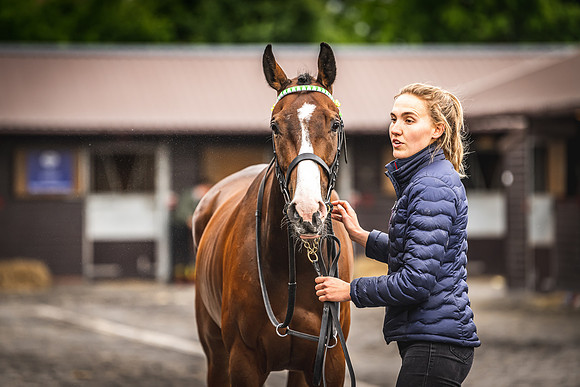 Goffs UK Spring Sale 22 Day 4-39