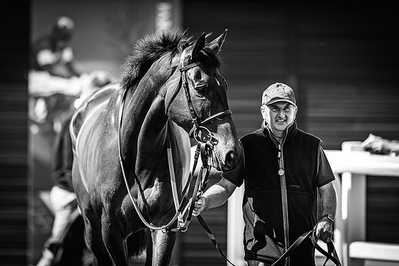 Goffs UK Spring Sale 22 Day 4-115