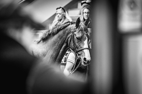 Goffs UK Spring Sale 22 Day 4-77