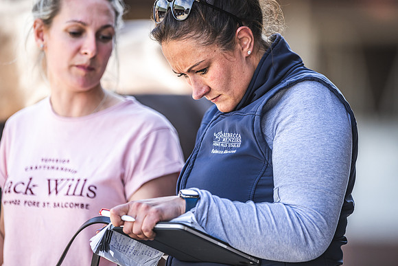 Goffs UK Spring Sale 22 Day 4-155