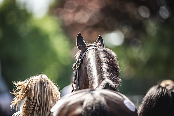Goffs UK Spring Sale 22 Day 4-130