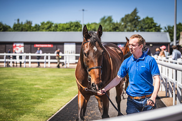 Goffs UK Spring Sale 22 Day 4-98