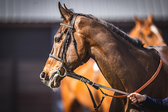 Goffs UK Spring Sale 22 Day 4-122