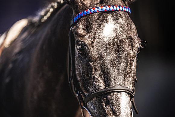 Goffs UK Spring Sale 22 Day 4-170