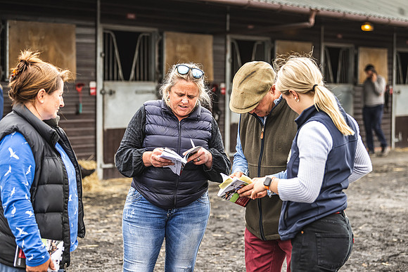 Goffs UK Spring Sale 22 Day 4-40