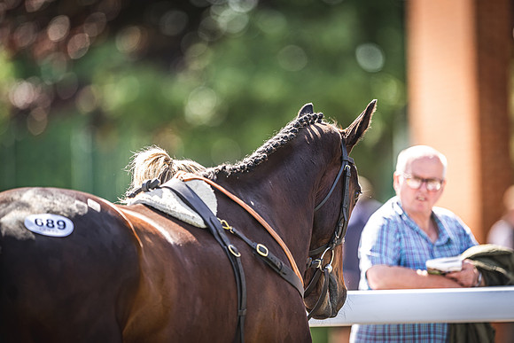 Goffs UK Spring Sale 22 Day 4-135