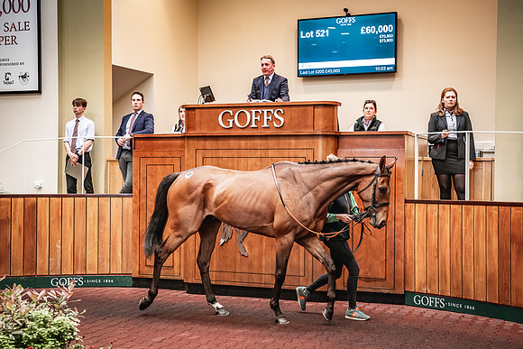 Goffs UK Spring Sale 22 Day 4-20