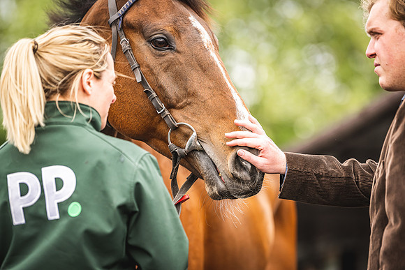 Goffs UK Spring Sale 22 Day 4-44