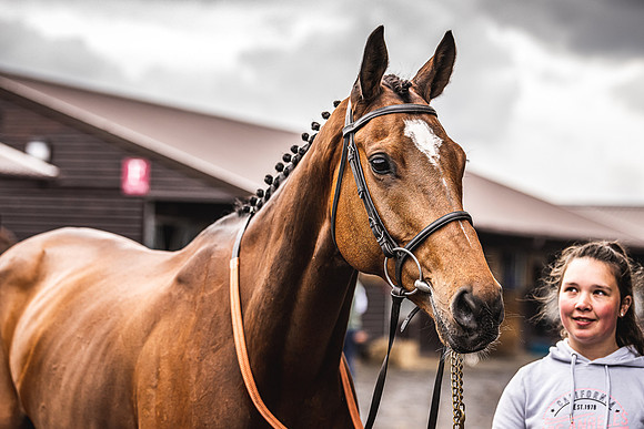 Goffs UK Spring Sale 22 Day 4-6