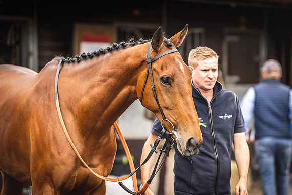 Goffs UK Spring Sale 22 Day 4-42