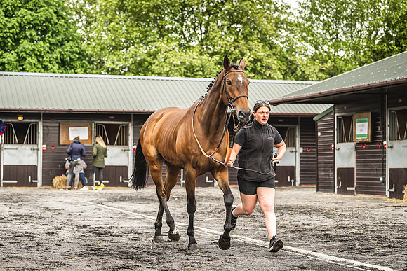 Goffs UK Spring Sale 22 Day 4-50