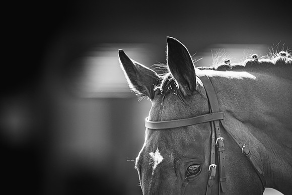 Goffs UK Spring Sale 22 Day 4-176
