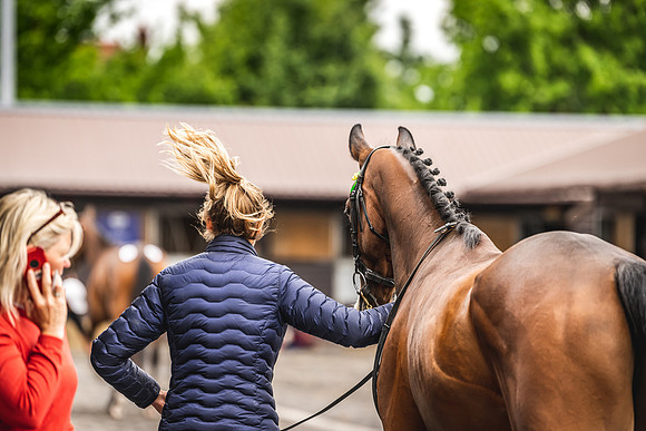 Goffs UK Spring Sale 22 Day 4-35