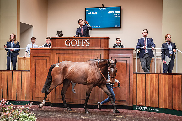 Goffs UK Spring Sale 22 Day 4-87