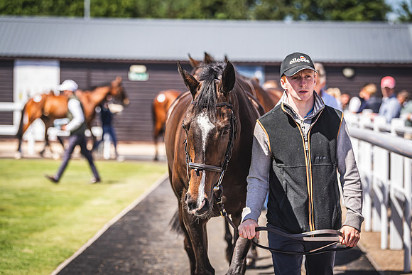 Goffs UK Spring Sale 22 Day 4-97