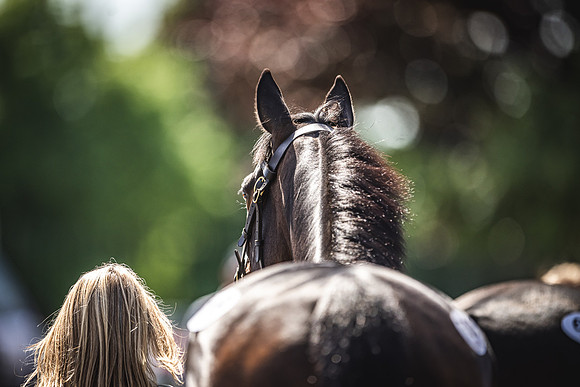 Goffs UK Spring Sale 22 Day 4-129