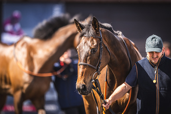 Goffs UK Spring Sale 22 Day 4-120