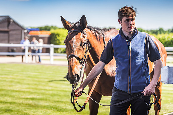 Goffs UK Spring Sale 22 Day 4-103