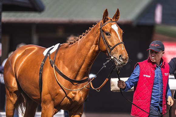 Goffs UK Spring Sale 22 Day 4-114