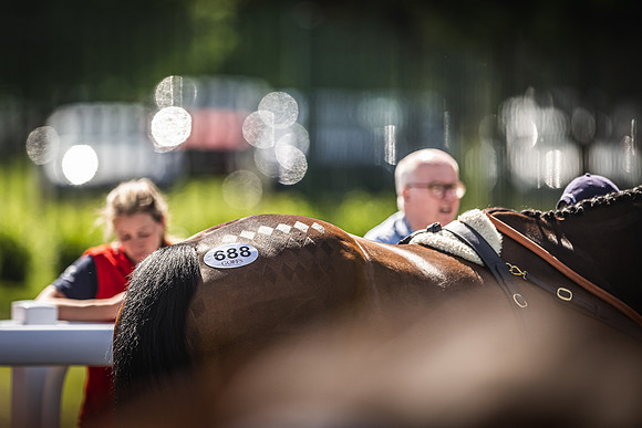 Goffs UK Spring Sale 22 Day 4-144