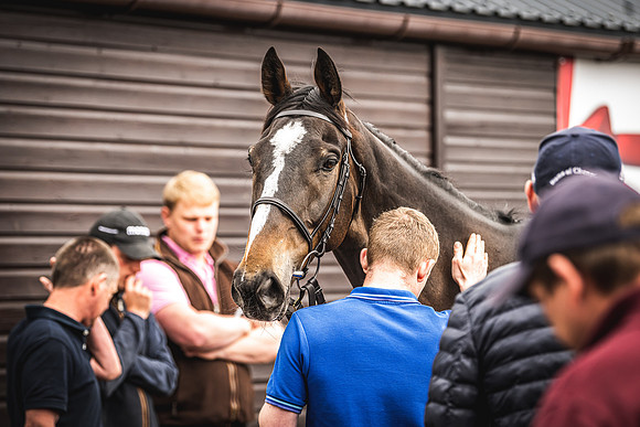 Goffs UK Spring Sale 22 Day 4-28