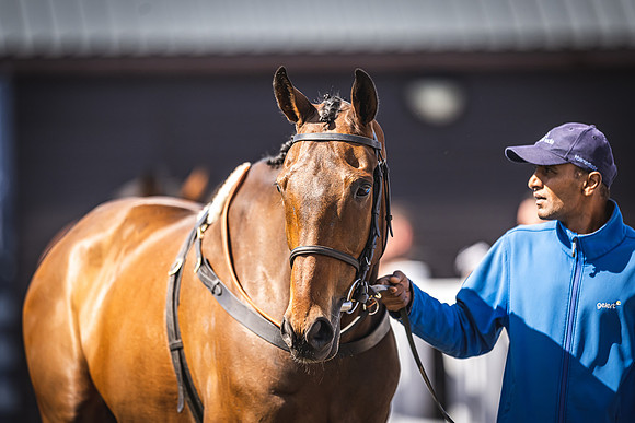 Goffs UK Spring Sale 22 Day 4-124