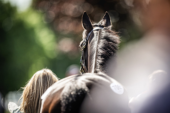 Goffs UK Spring Sale 22 Day 4-131