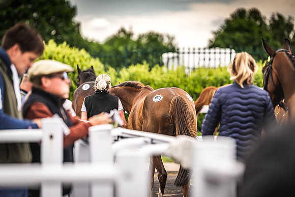 Goffs UK Spring Sale 22 Day 4-64