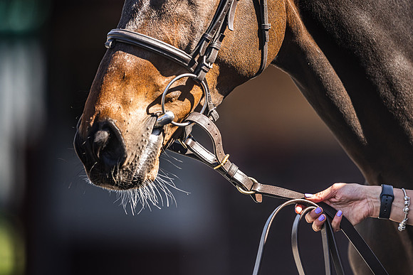 Goffs UK Spring Sale 22 Day 4-157